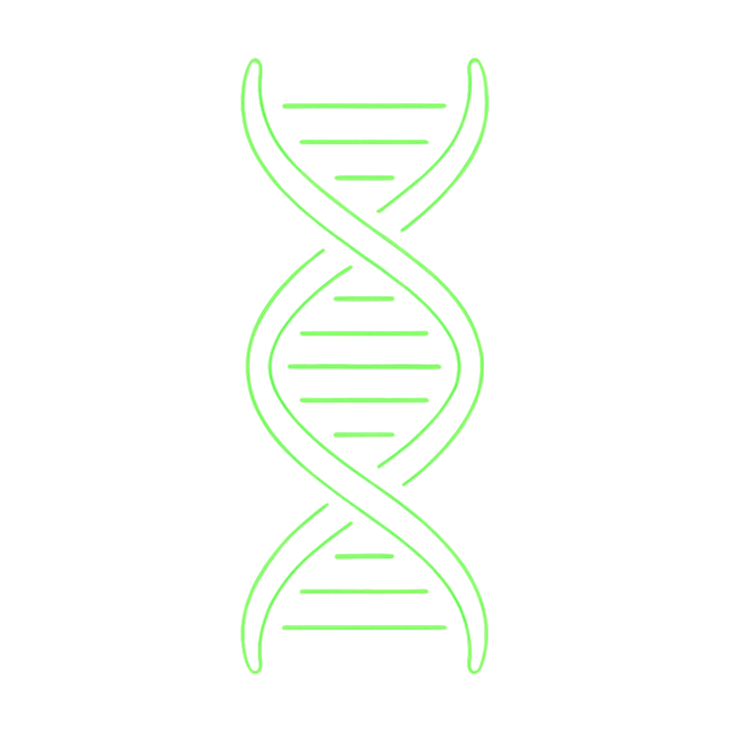 Symbolic visual divider